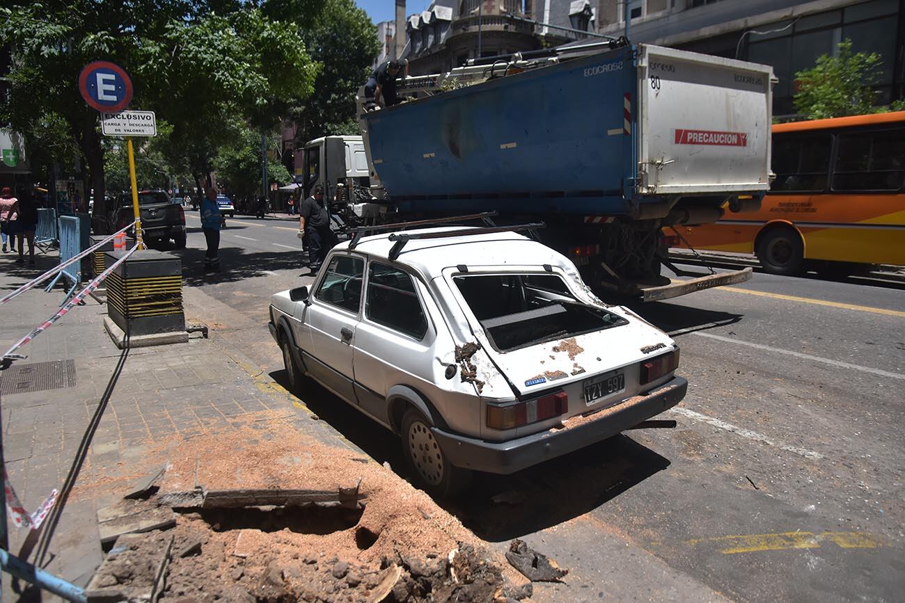 Un árbol cayó en plena avenida General Paz de la ciudad de Córdoba. (Ramiro Pereyra / La Voz)