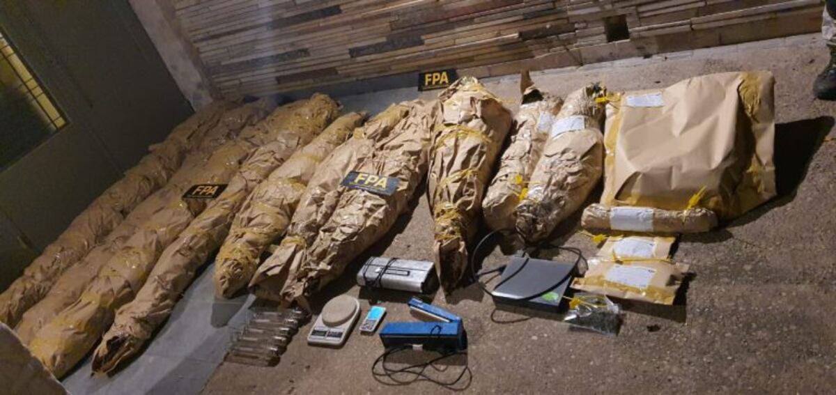 Perseguían a ladrones por los techos y descubrieron una plantación de marihuana