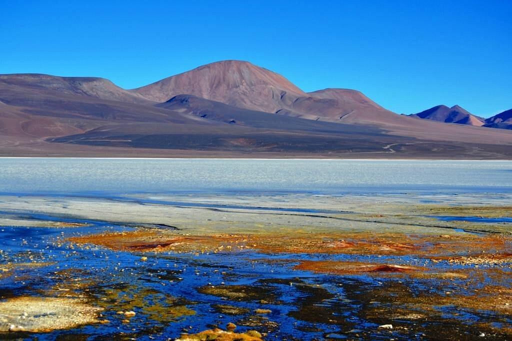 La Reserva Provincial Laguna Brava en La Rioja es un atractivo ideal para conocer en tu próximo viaje.