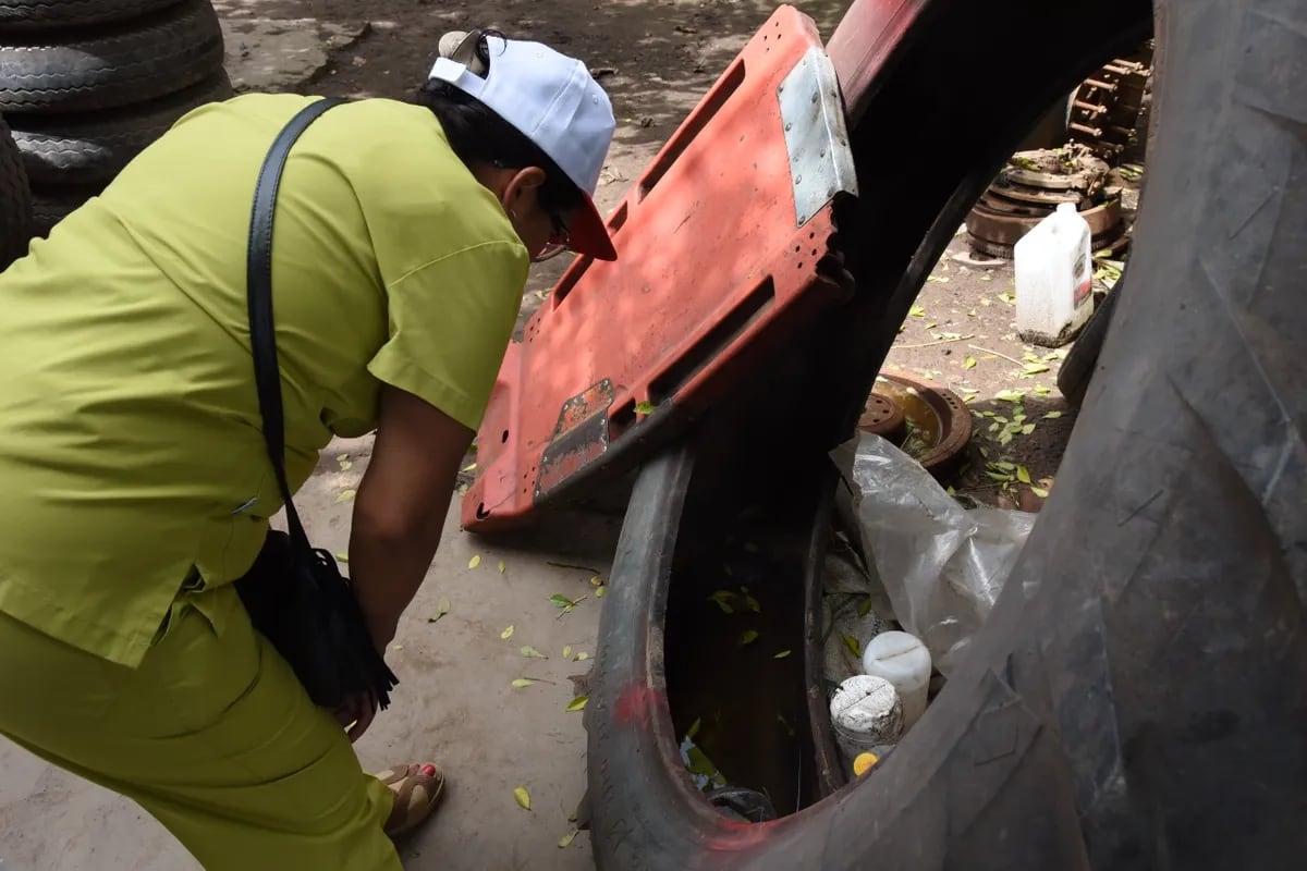 Para prevenir el dengue se debe eliminar recipientes y elementos que puedan acumular agua de lluvia donde el mosquito transmisor de la enfermedad puede poner sus huevos.