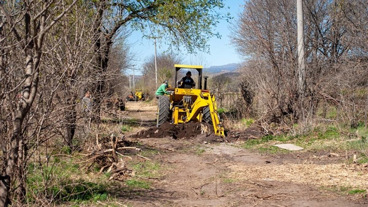 Revés para los ambientalistas de Villa Los Aromos
