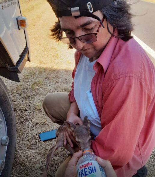 Diana Aguirre, la productora agropecuaria que salva animales de los incendios en Corrientes.