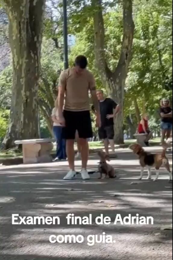 Un jugador de Independiente se recibió de adiestrador canino y sorprendió a los hinchas con el video