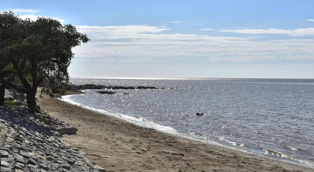 En la Reserva Ecológica, Costanera Sur, apareció flotando una mujer. (Télam/Victoria Egurza).