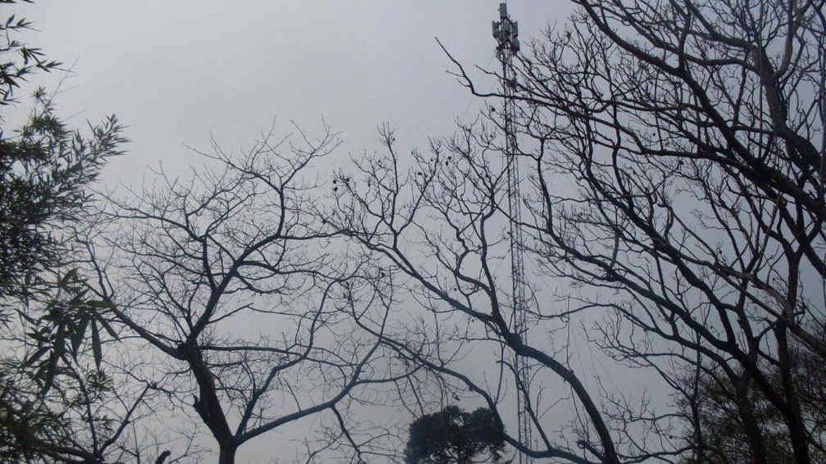Encontraron a un hombre sin vida a metros de una antena en el interior de Córdoba