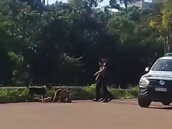 El violento ataque fue capturado en vídeo por los vecinos.