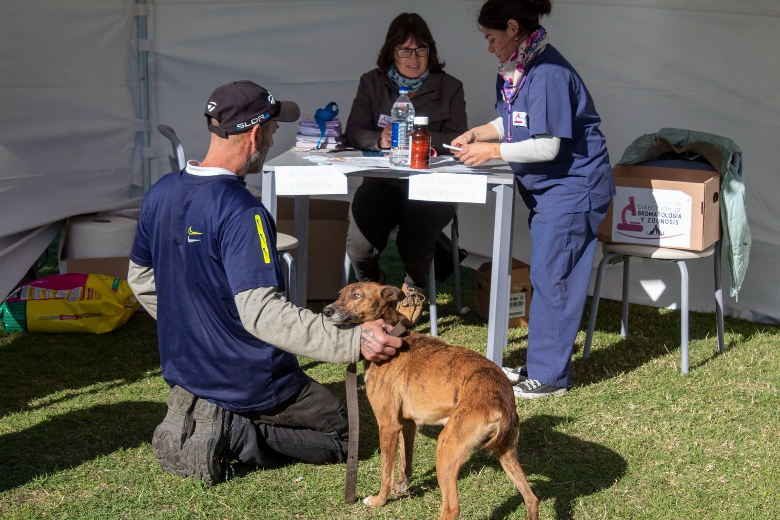 Primera jornada de actividades por el Día del Animal