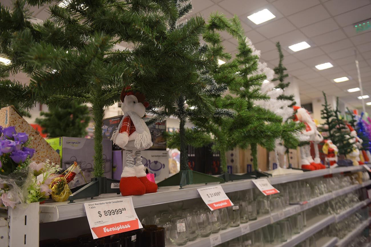 Venta de arbolitos de navidad en Córdoba.