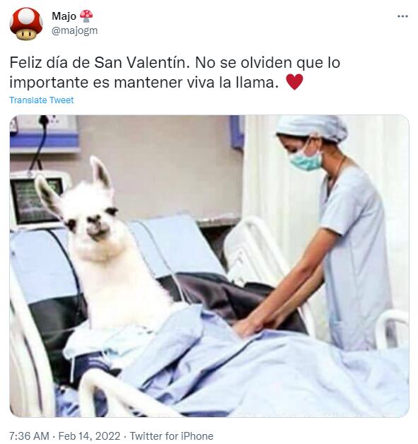 Meme para el 14 de febrero.