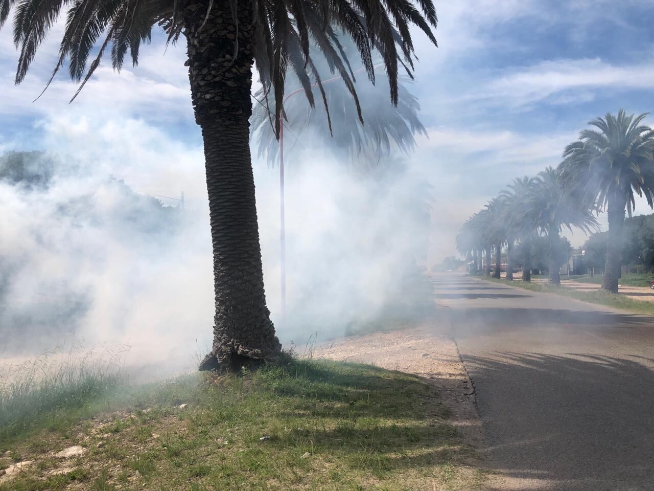 Fumigación contra los mosquitos