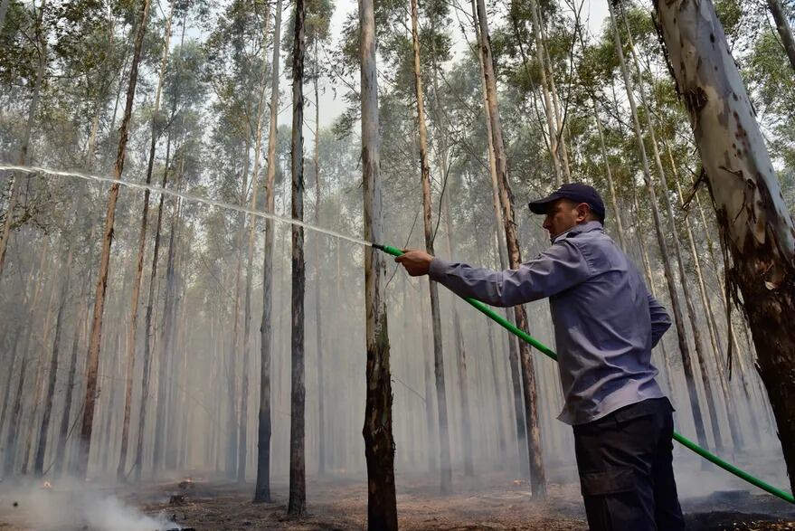 Incendios en Ituzaingó, Corrientes, al norte de los Esteros del Iberá
Marcelo Rodriguez/El Territorio