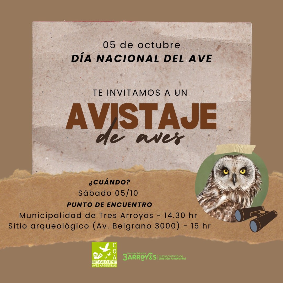 Avistaje de aves en Tres Arroyos