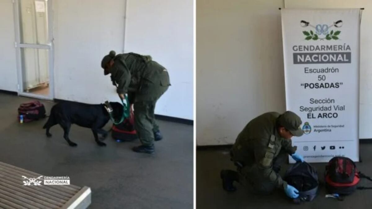 Posadas: incautaron marihuana en la mochila de un pasajero en la entrada de Misiones