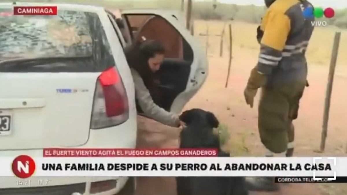 Insólito y desgarrador: por los incendios en Córdoba una familia evacuada abandonó a su mascota