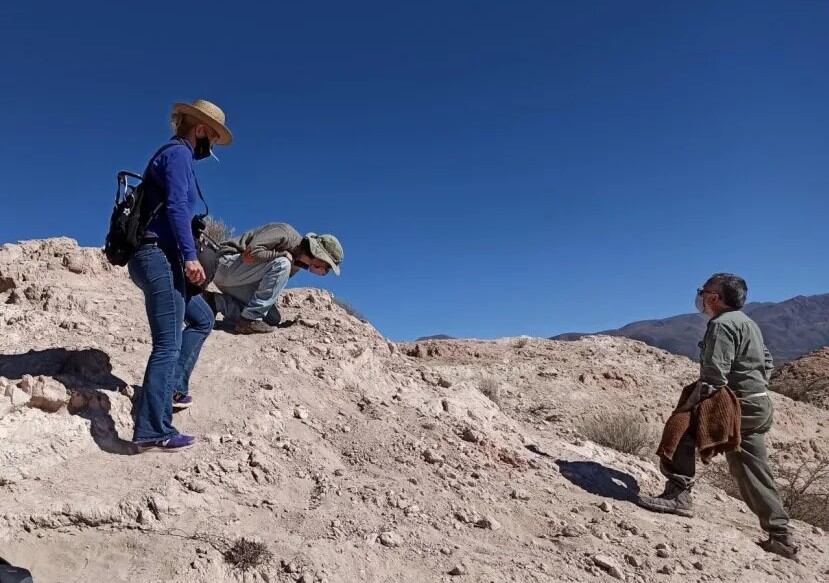 Los trabajos de investigación respectivos sobre los fósiles hallados en Humahuaca, seguirán adelante coordinados por el órgano de aplicación de la ley n° 3.866.