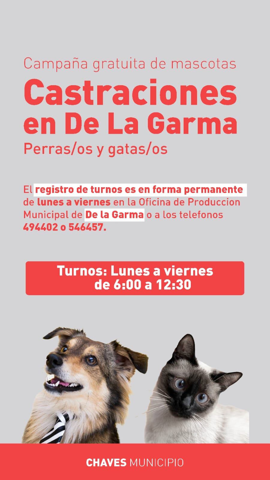 Campaña de Castración gratuita en De la Garma