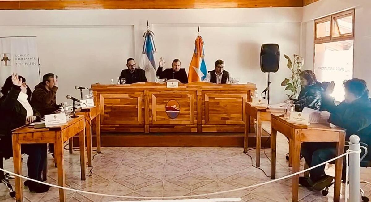 Harrington destacó la aprobación de la emergencia energética en Tolhuin