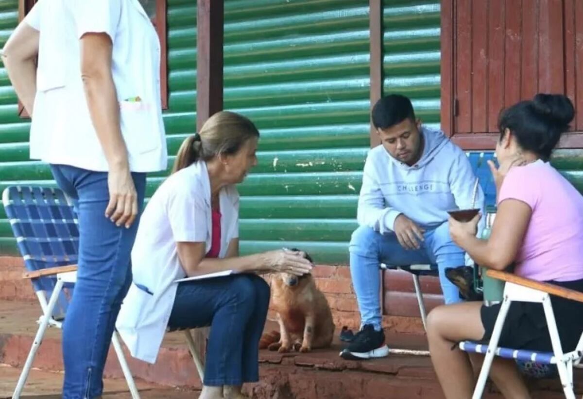 Refuerzan tareas contra la enfermedad del dengue en Montecarlo