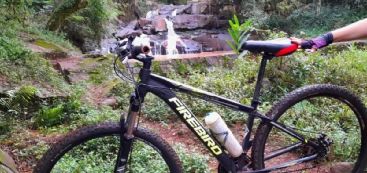 Eldorado: robaron una bicicleta de una vivienda y solicitan su restitución