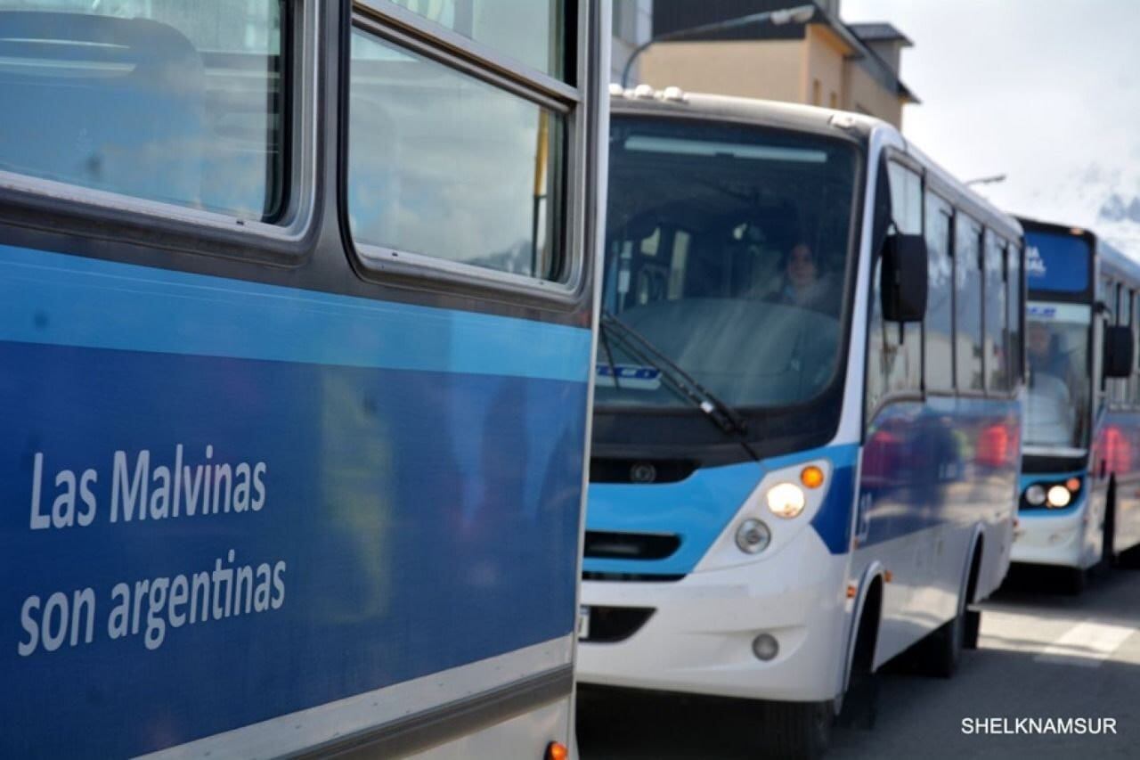 El colectivo vuelve a pasar por Avenida Alem.