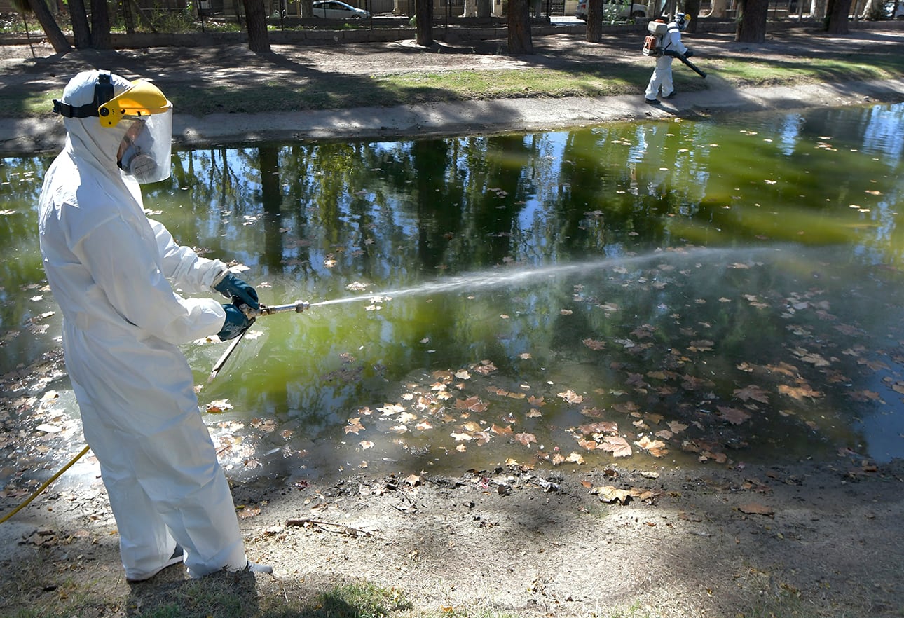 Desinfección por la epidemia de dengue. Foto: Orlando Pelichotti
