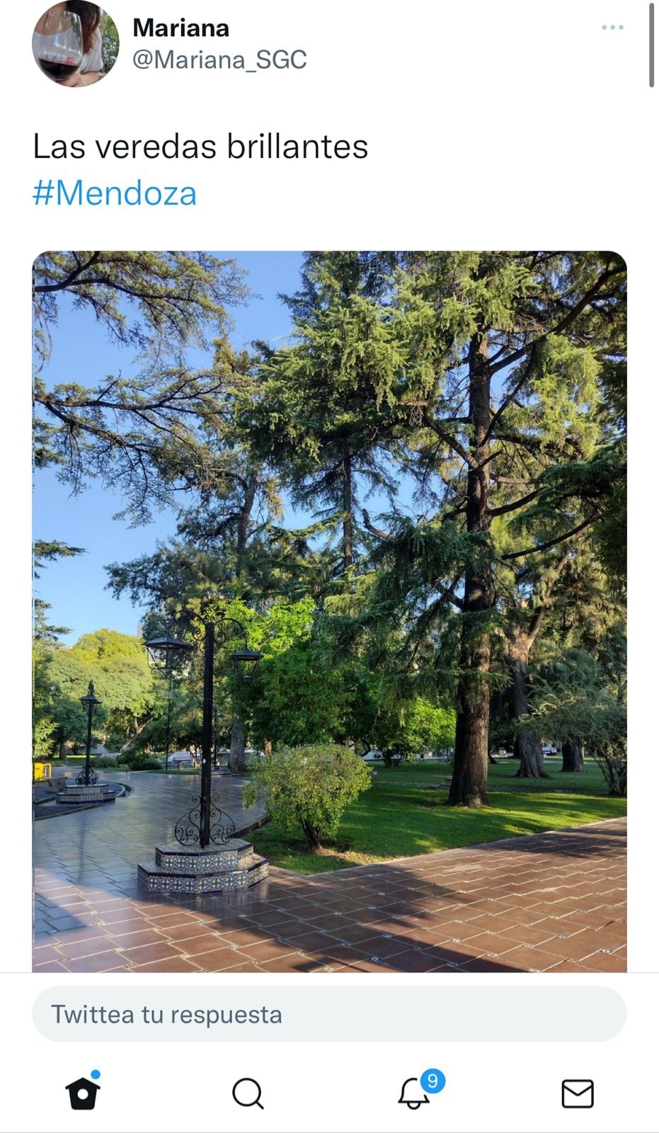 La plaza España de Mendoza viral por la limpieza de sus veredas.