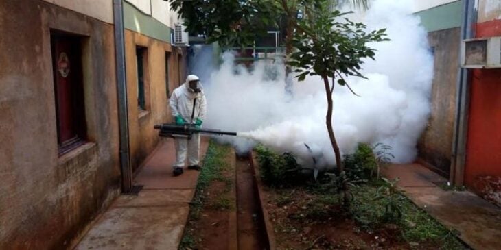 Aumento de casos de dengue en la ciudad de Posadas