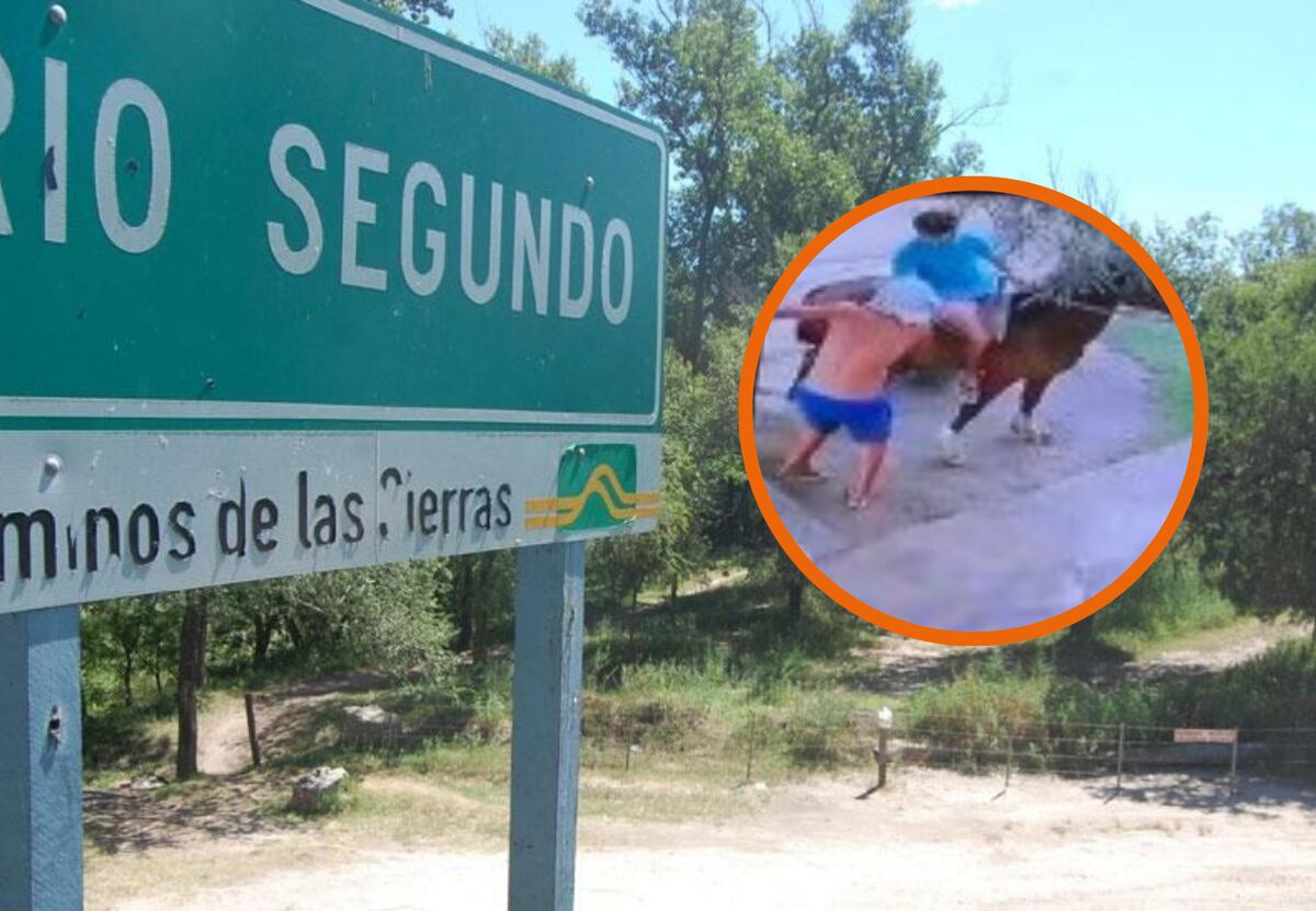 Córdoba insólita: escaparon a caballo tras un intento de robo en un kiosco 