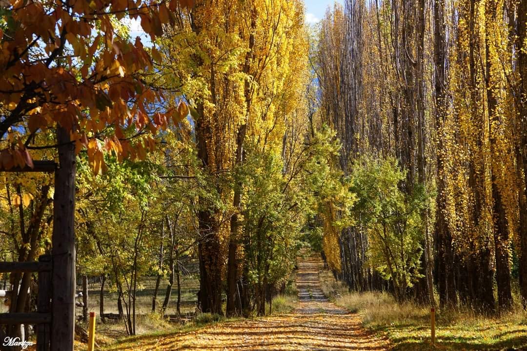 El Paraje Las Golondrinas es un lugar de ensueños ubicado en la provincia de Chubut.