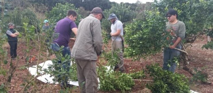 El precio de la materia prima subió casi un 50%. 