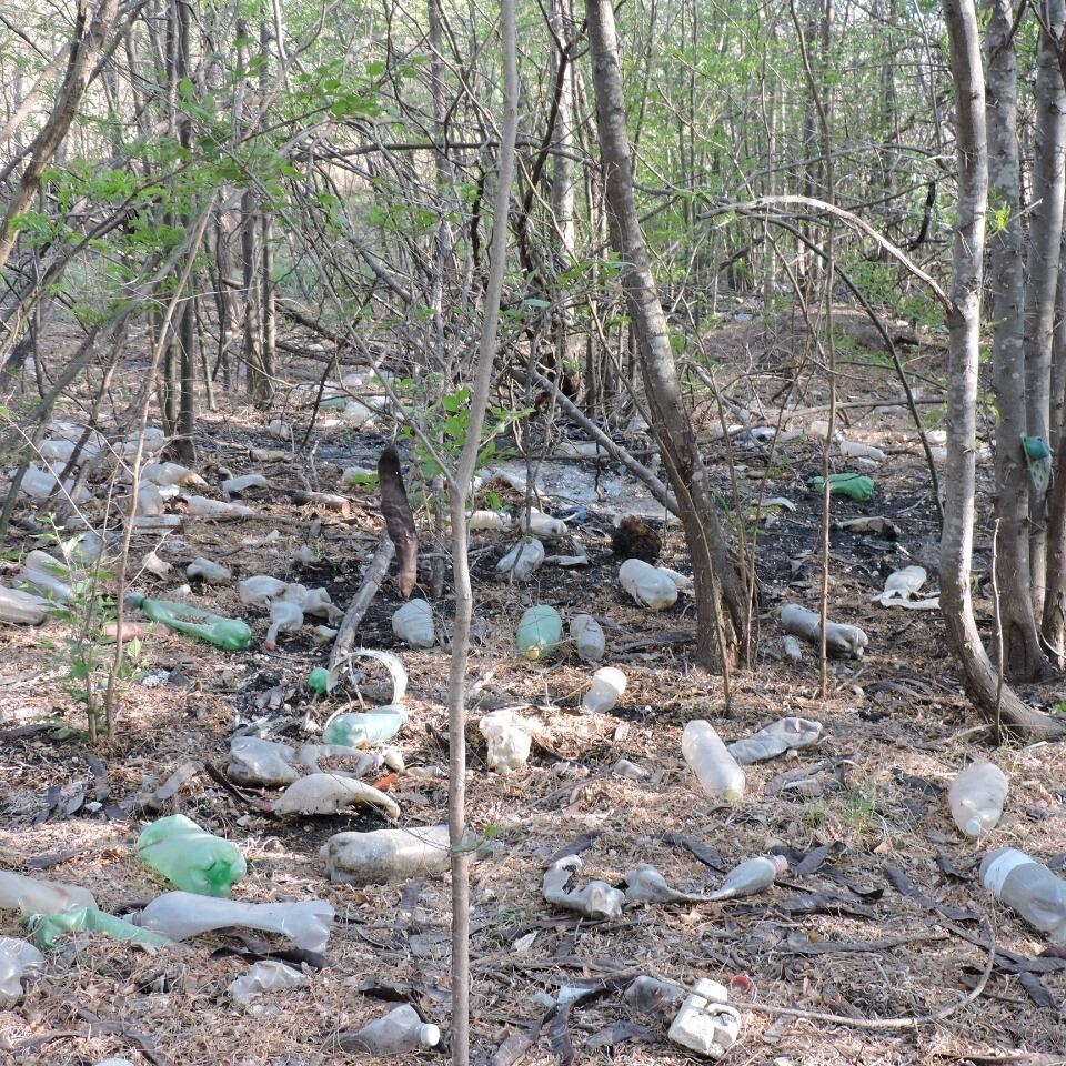 Vecinos de Bialet Massé se sumaron a la limpieza del lago San Roque