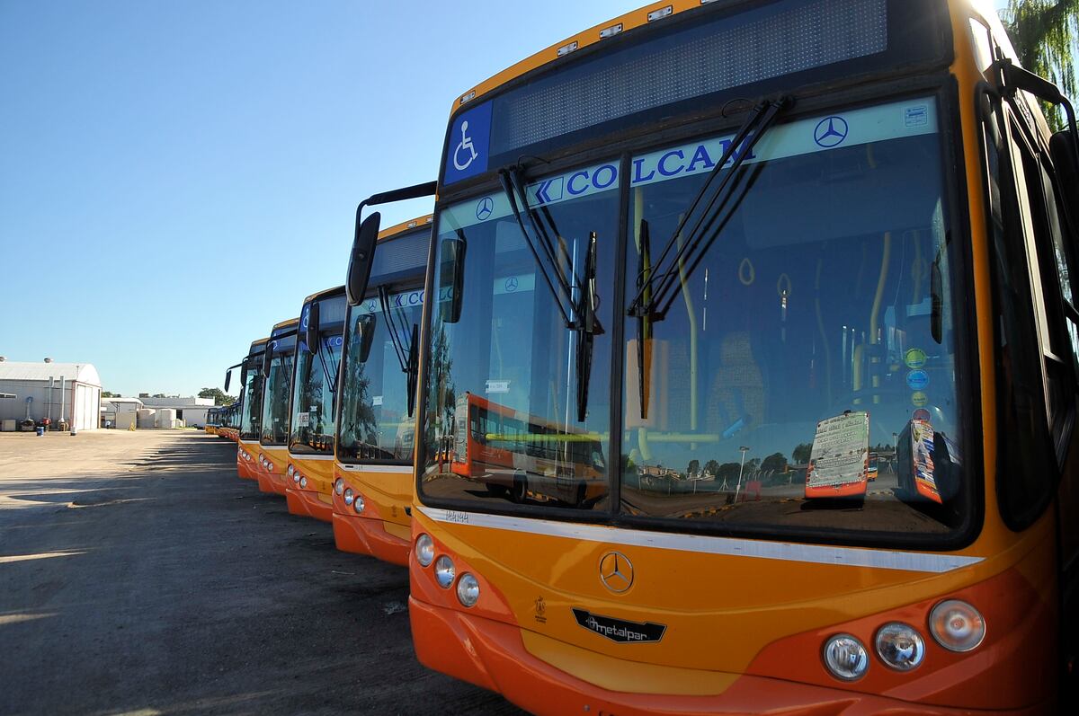 Transporte urbano de Córdoba: cuáles son las nuevas líneas que operará Coniferal