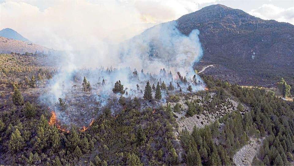 Hay tres focos de incendio en Río Negro (Marcelo Martínez / LA NACION).