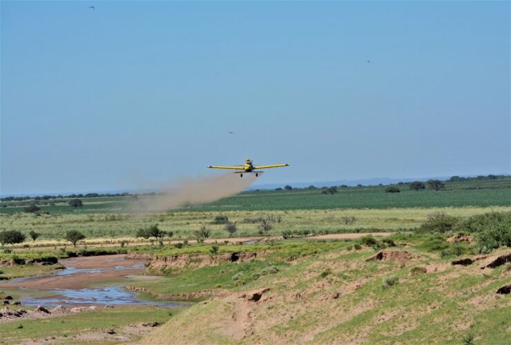 Las bombas son confeccionadas con gran compromiso por el equipo de la cartera ambiental.