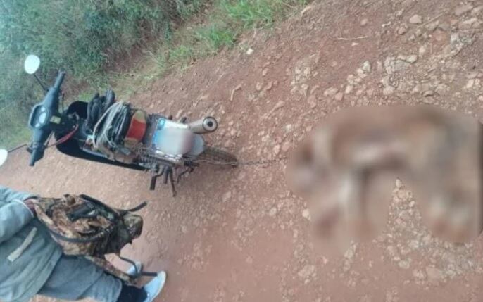 Maltrato animal en Campo Grande: arrastraba a su perro con la motocicleta.