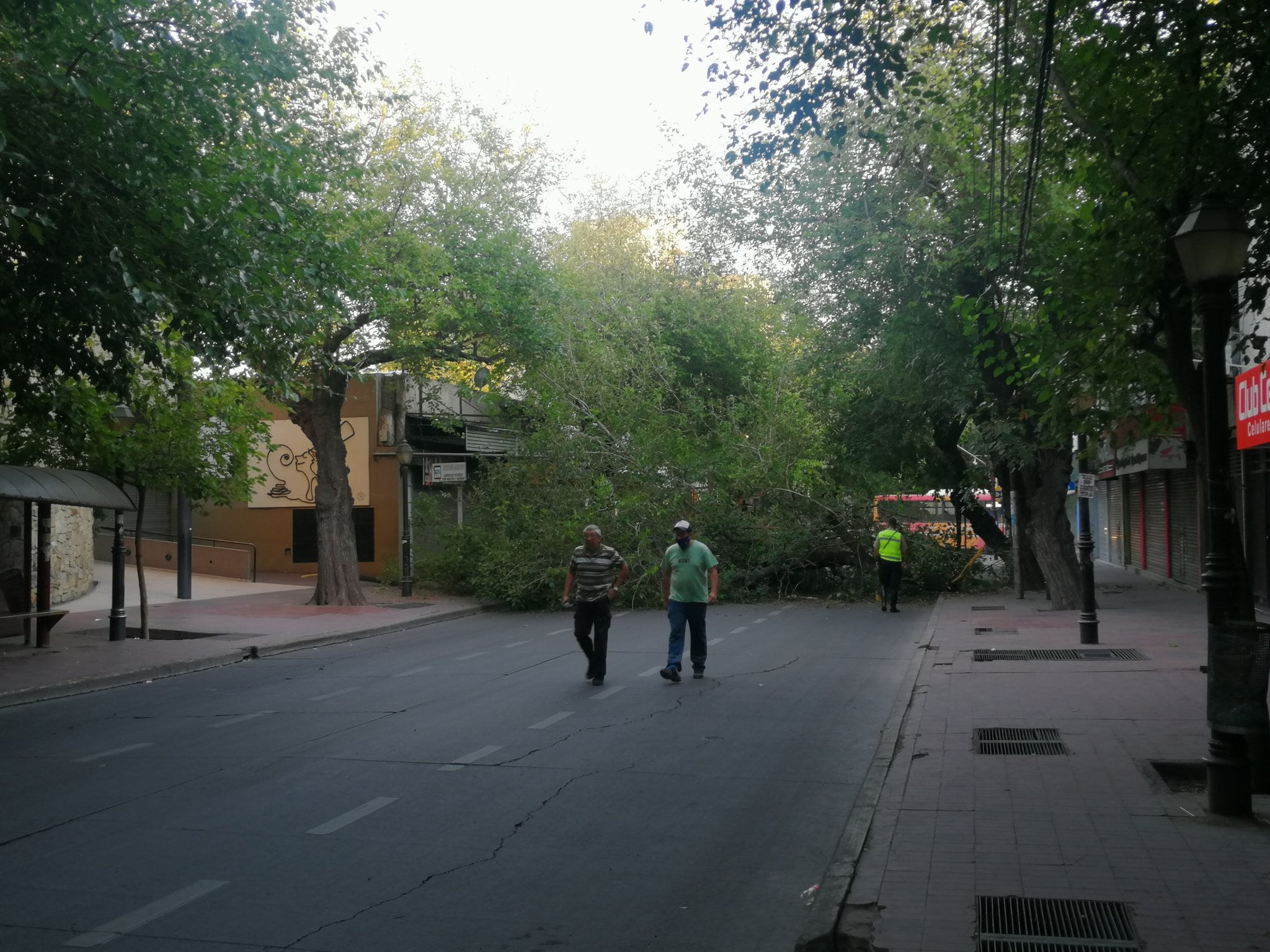 Corte total del tránsito en calle Patrcias Mendocinas..