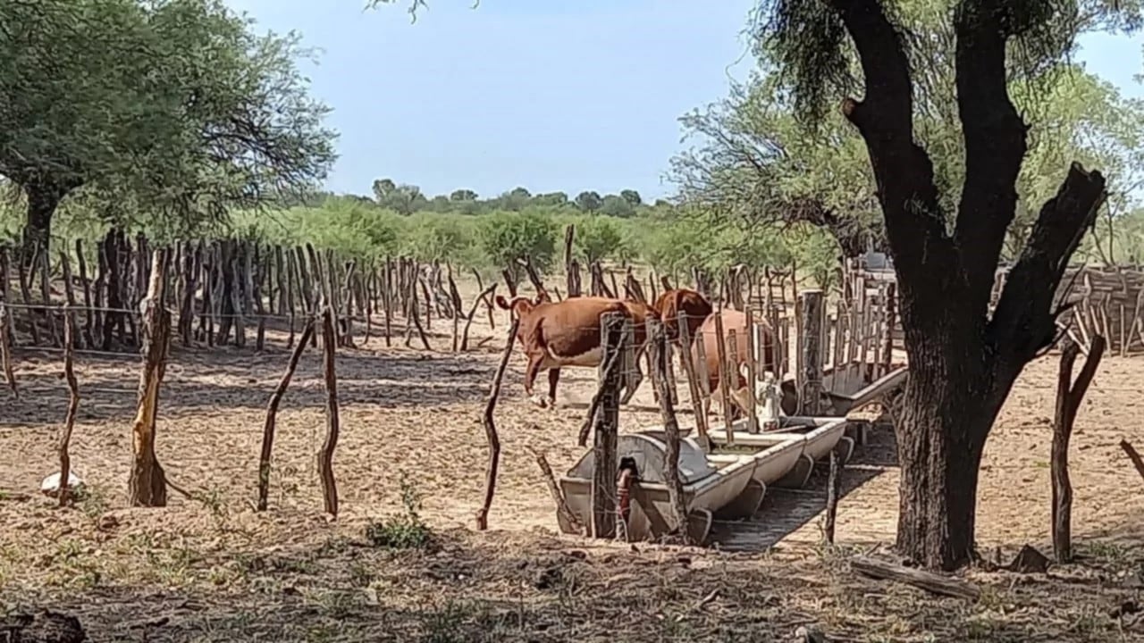 Campo presuntamente usurpado en San Luis