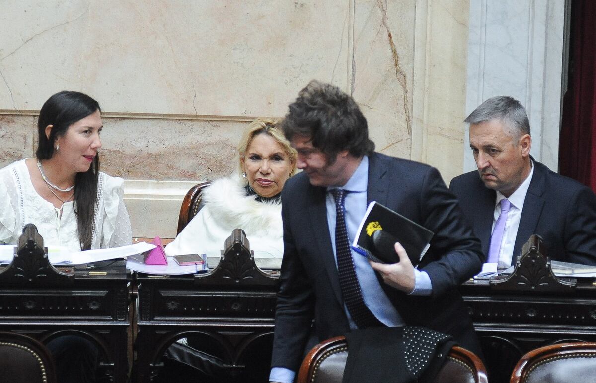 El desafío de Milei: las reformas que propone el libertario encuentran un obstáculo en el Congreso