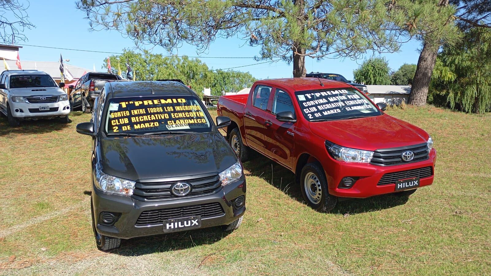 6 Horas a la Corvina de Mayor Peso Club Recreativo Echegoyen