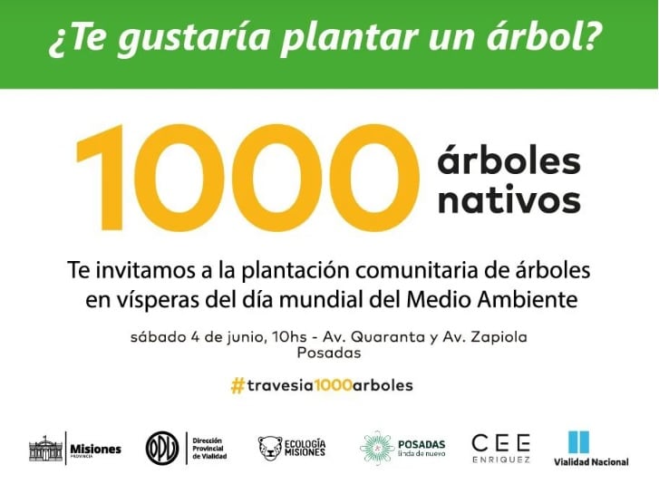 Travesía Urbana en Posadas: convocan a la población a plantar árboles.