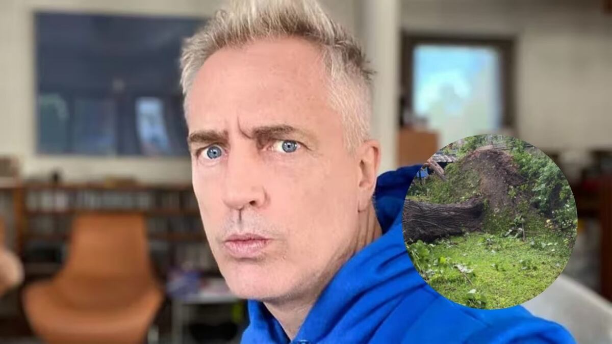 Así quedó la casa de Marley tras el fuerte temporal en Buenos Aires: “Se nos cayó el árbol encima”