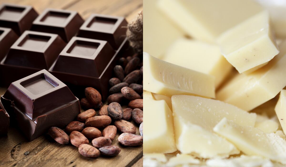 Cuál es la diferencia entre el chocolate blanco y el negro