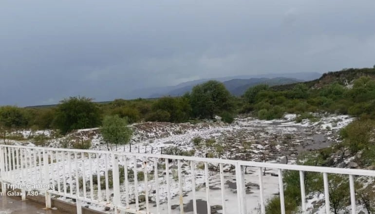 Nogolí bajo granizo. San Luis