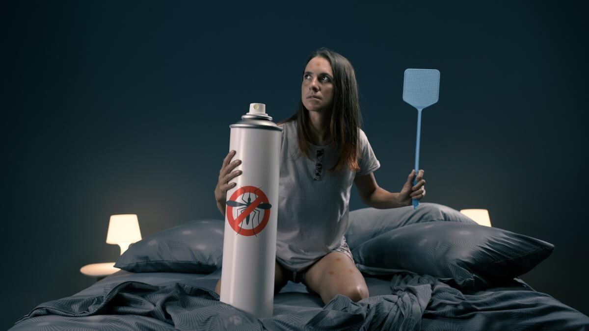 ¿No podés dormir por los mosquitos?: este truco casero con 3 productos te puede salvar la noche