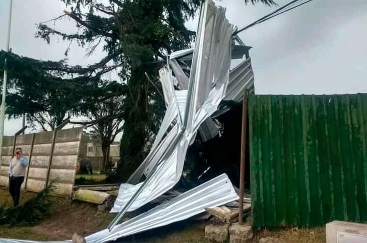 Temporal en Tandil: así fueron los destrozos que ocasionó el viento en la ciudad