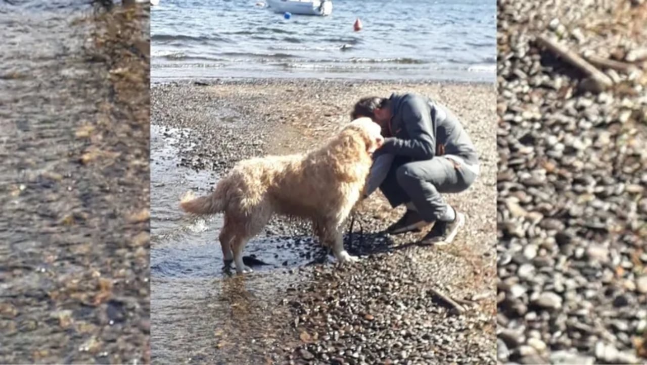 El animal no presentó heridas y se encontró con su familia en perfectas condiciones de salud.