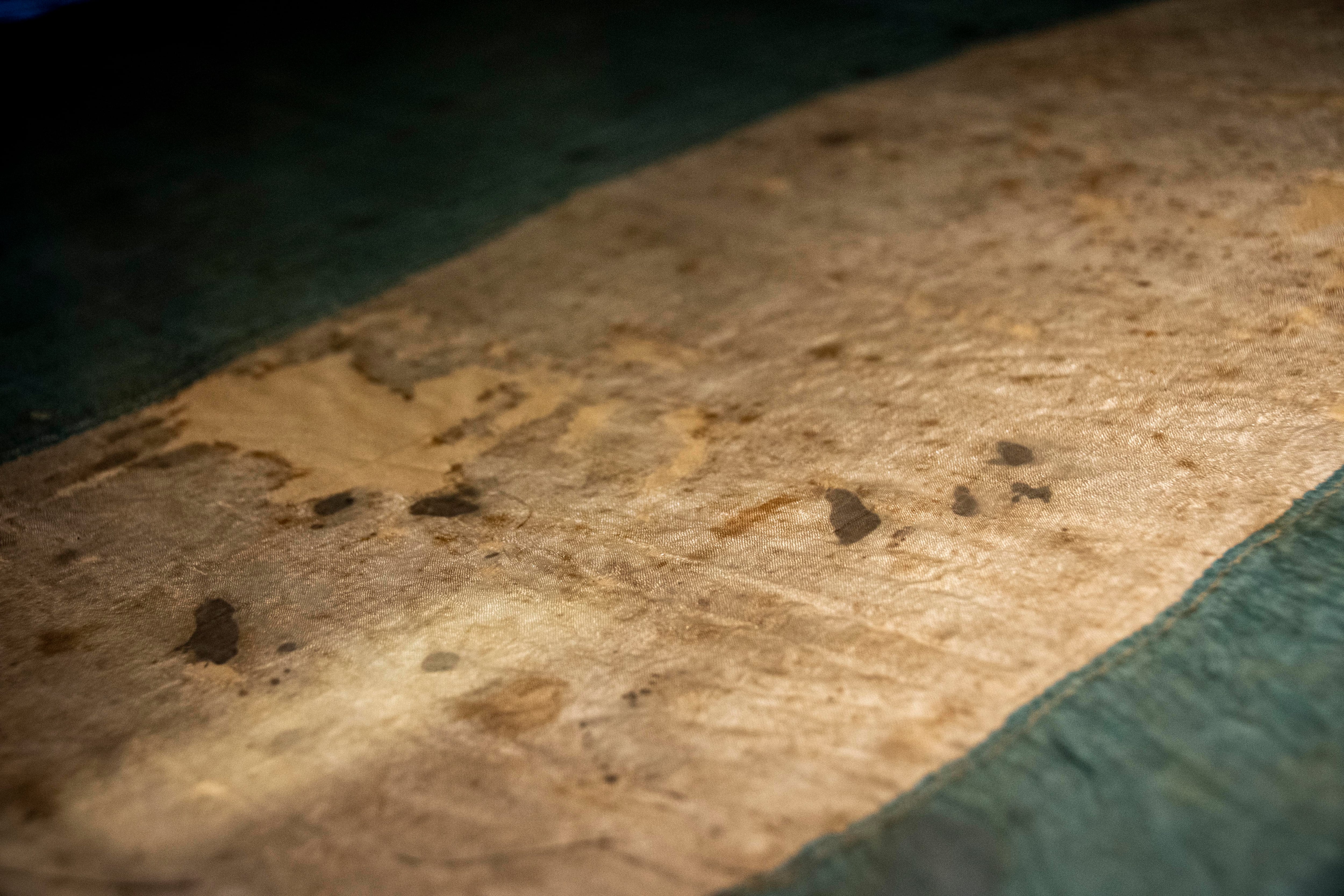 Lo toma fotográfica permite ver las manchas de sangre a las que hace referencia Calvetti en su artículo.