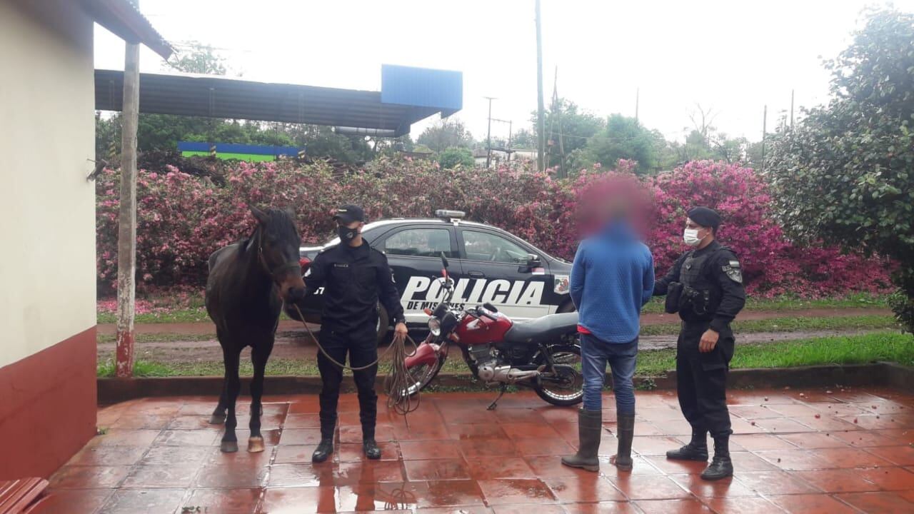 Un hombre sustrajo un caballo y cabalgó con él casi 50 kilómetros.