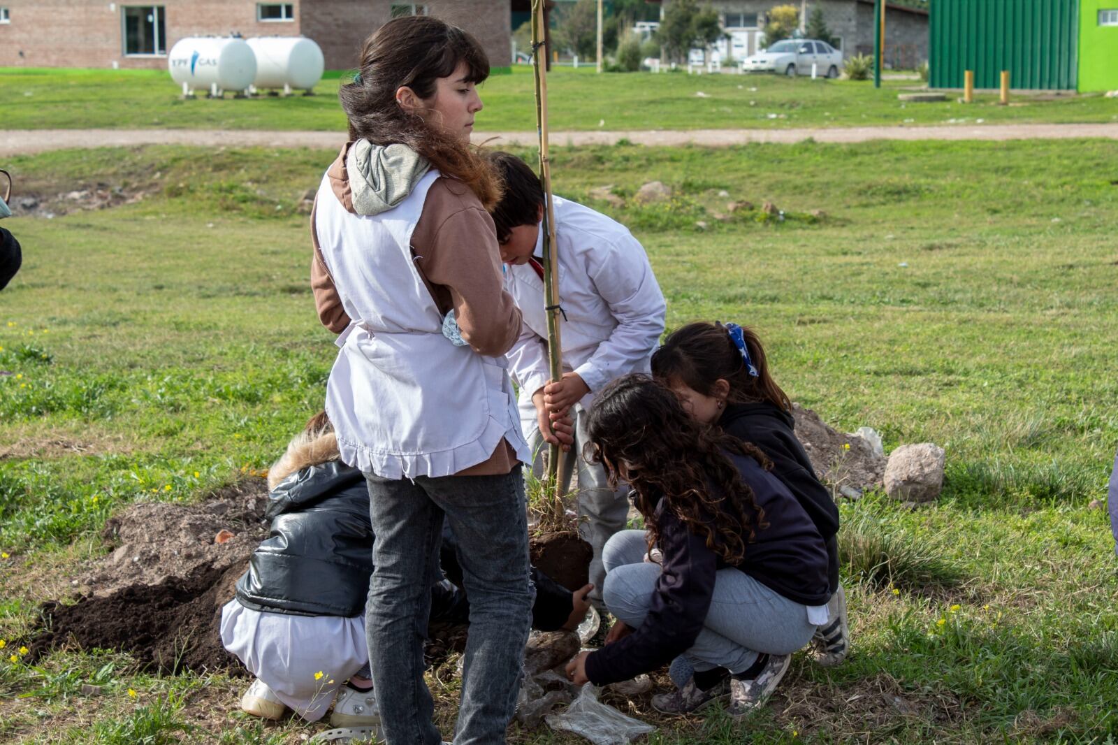 En el Día Mundial del Reciclaje alumnos de escuelas de Tres Arroyos plantaron árboles