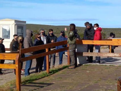 Llegaron los pingüinos a la costa y habilitaron el turismo en la reserva de Punta Tombo